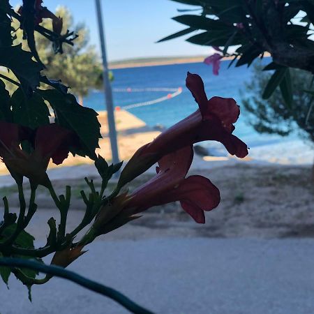 דירות Croatia מאנדרה מראה חיצוני תמונה
