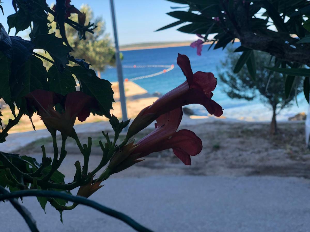 דירות Croatia מאנדרה מראה חיצוני תמונה